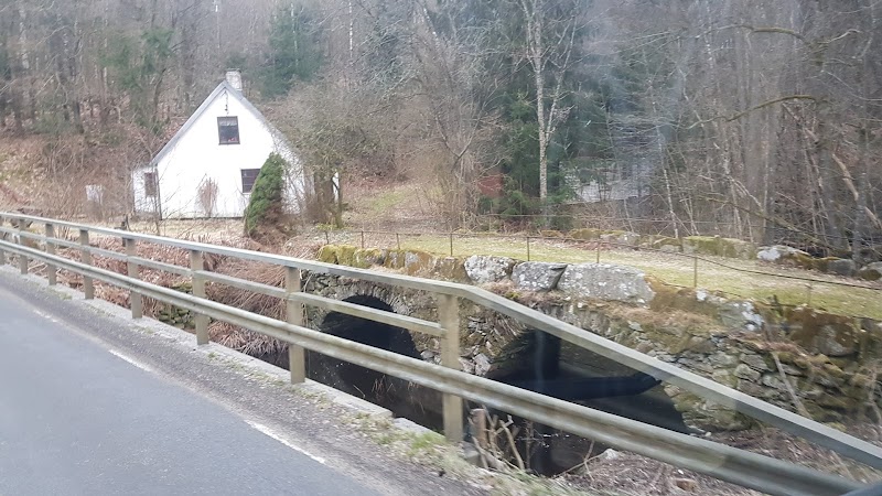 Råbockarp