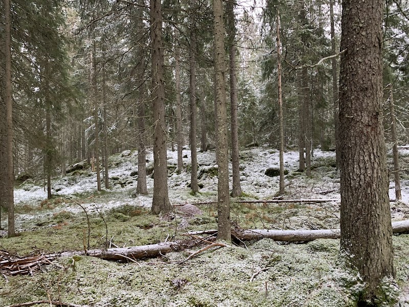 Knaperbergets naturreservat