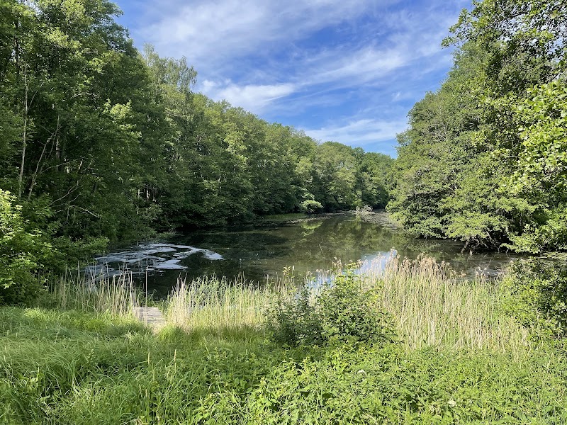 Motala River Ravine