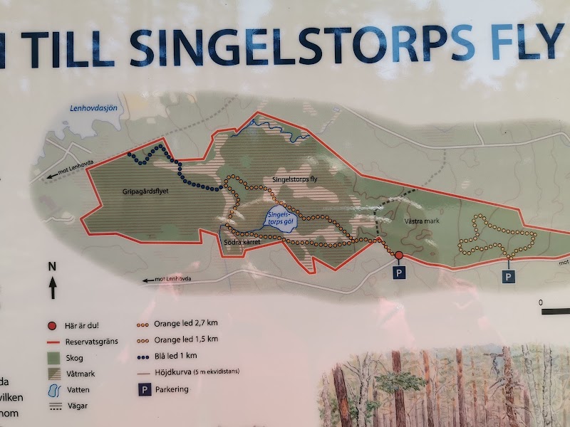 Singelstorps fly