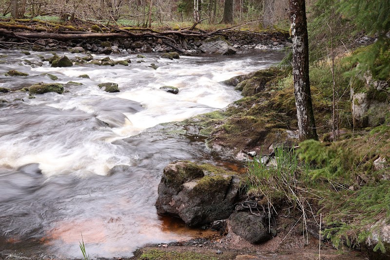 Järleån