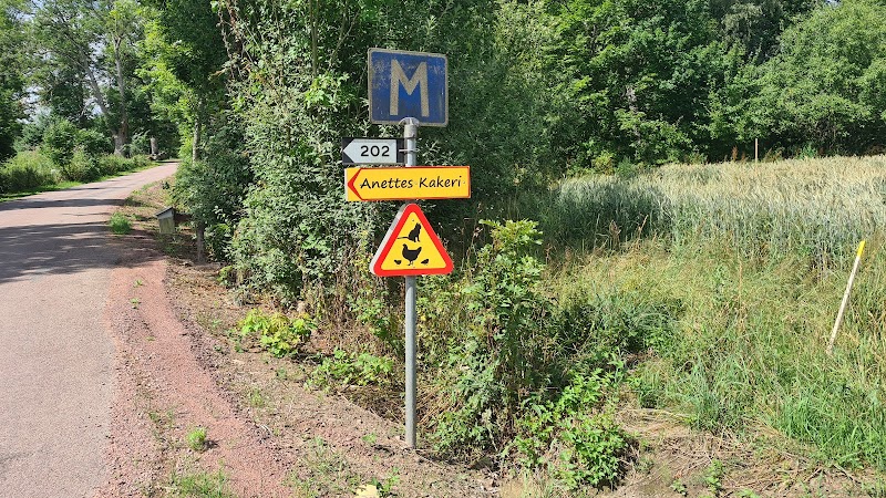 Anettes Kakeri