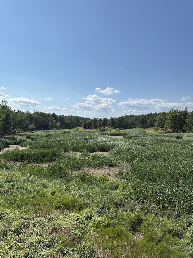 Långängen-Elfviks naturreservat