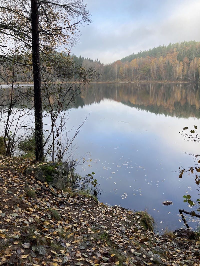 Rödgölens Naturreservat