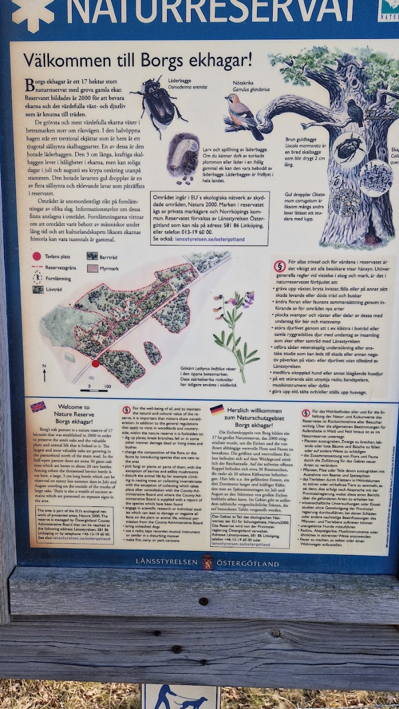 Dvardalaskogens naturreservat