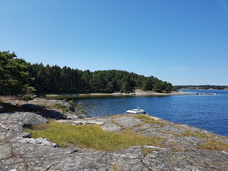 Koljön