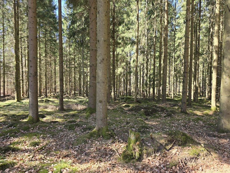 Frostavallen - Ullstorp
