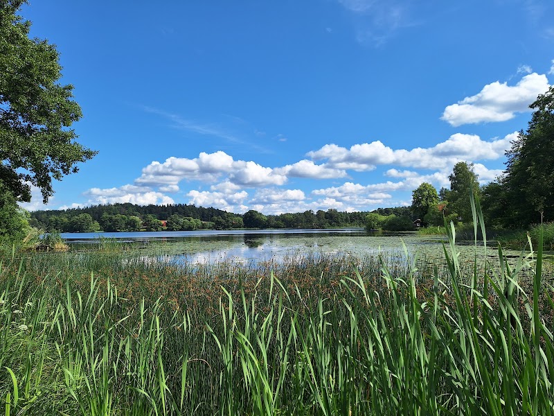 Virauddsparken