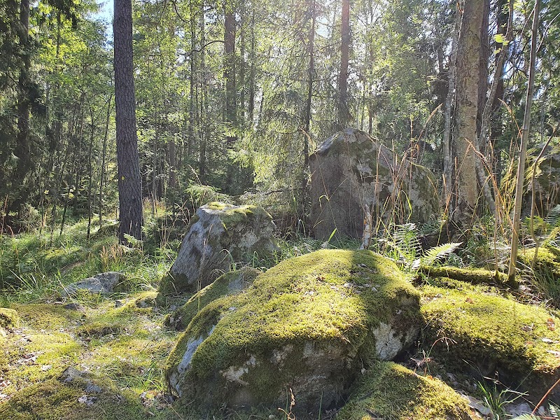 Stäketskogen Nature Reserve