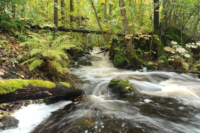 Sixtorp naturreservat