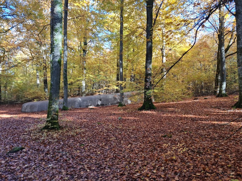 Wanås naturreservat