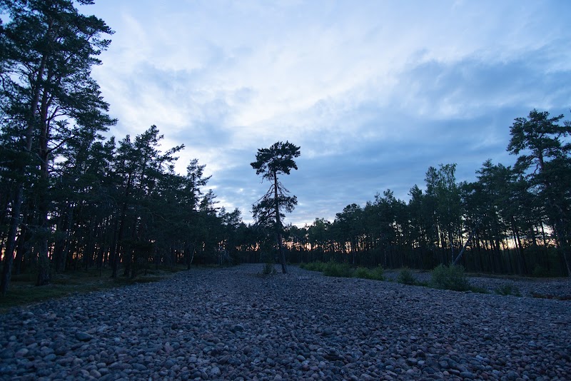 Viksta stentorgs naturreservat