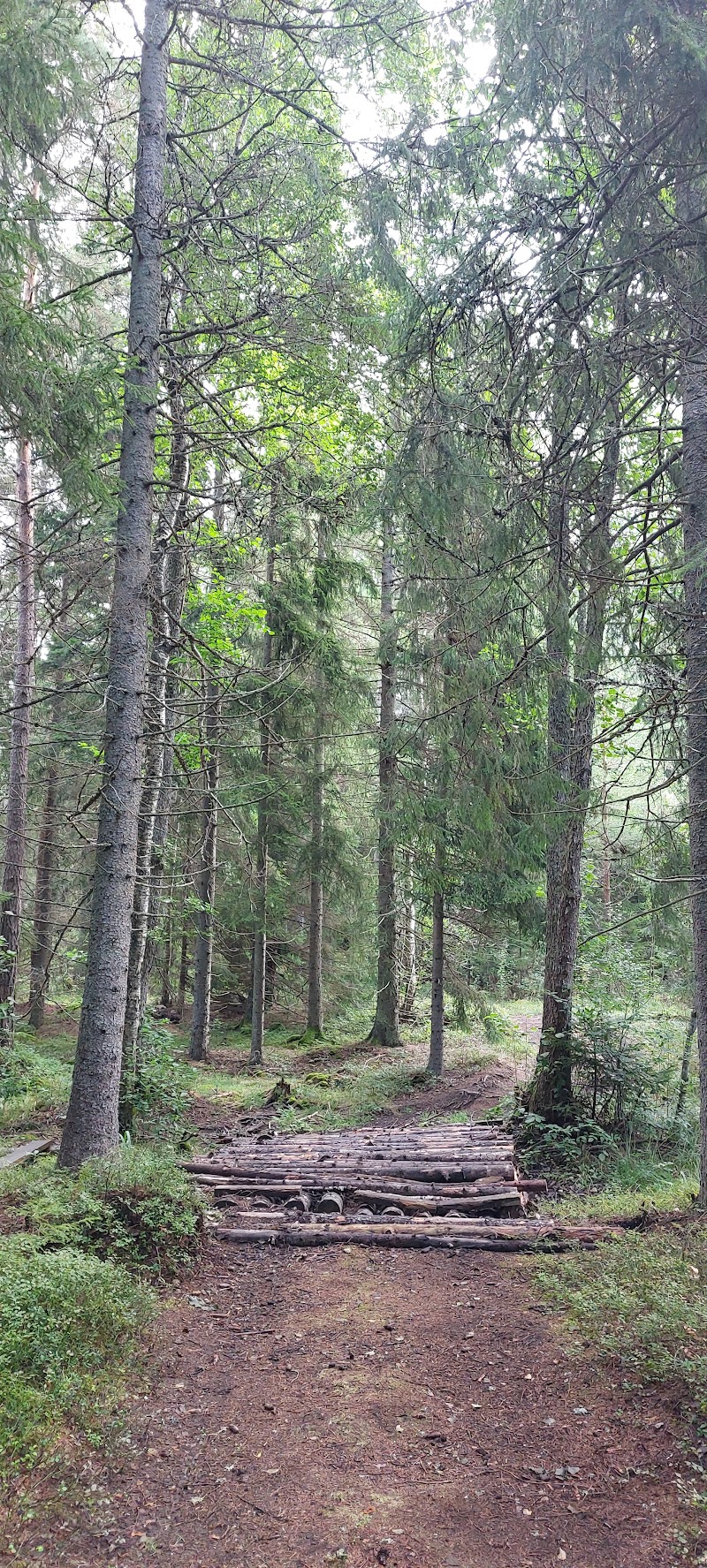 Grevinnans rå naturreservat