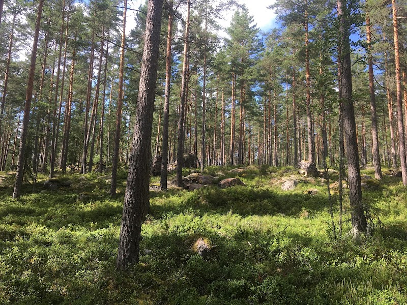 Sällevadsåns dalgångs naturreservat