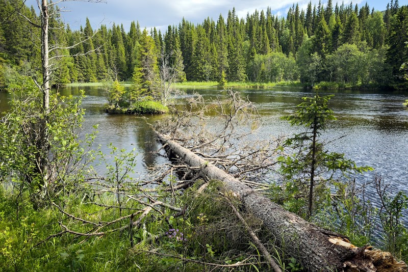 Murusjöån