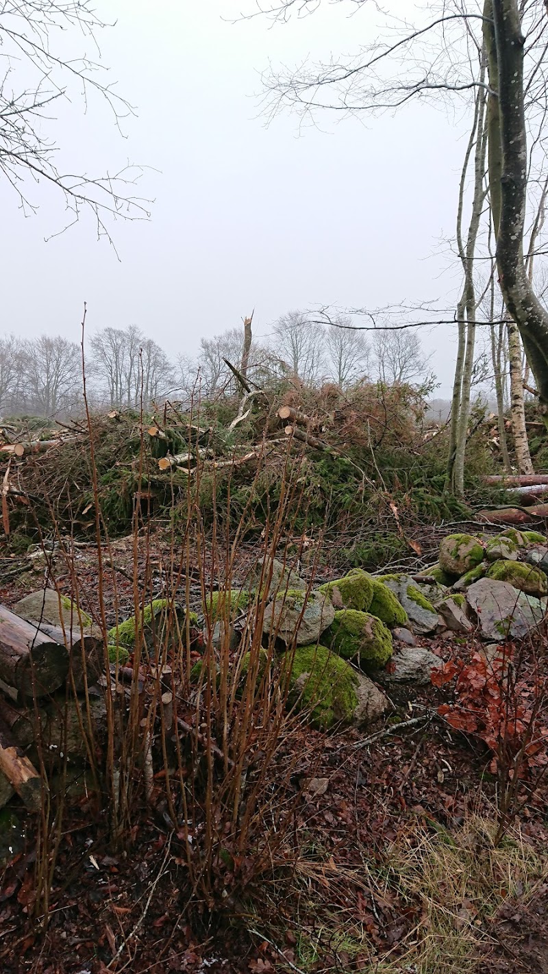 Granbackaskogen