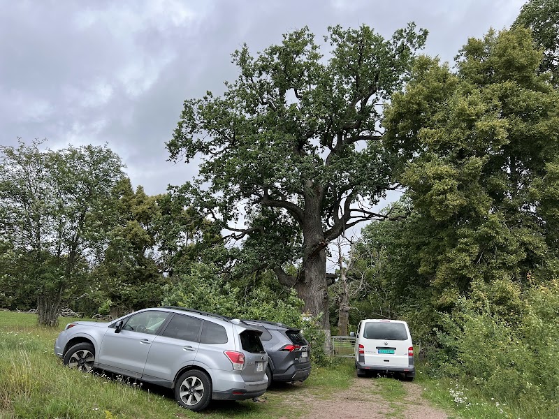 Rudalund