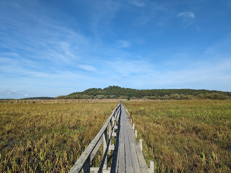 Hjälstaviken Nature reserve
