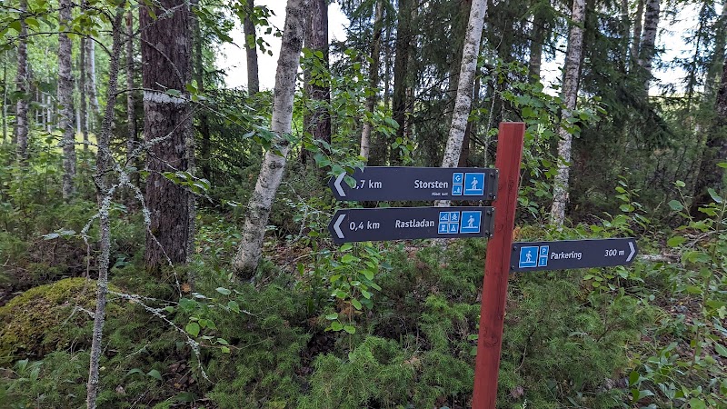 Isalanäset