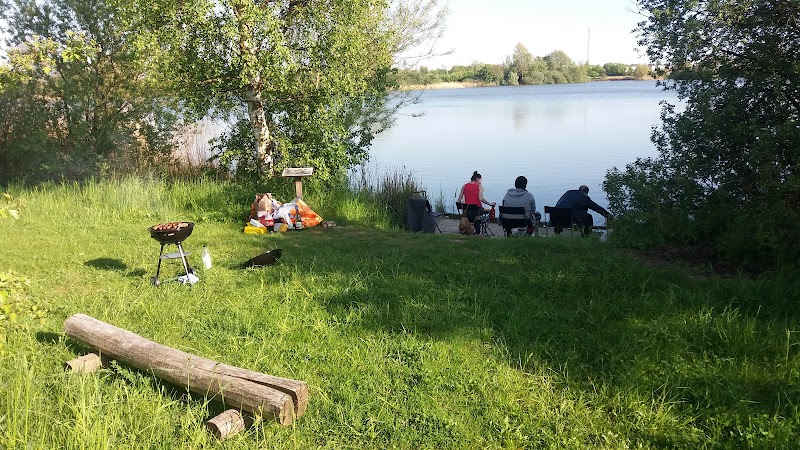Östra Dammen, Fiske
