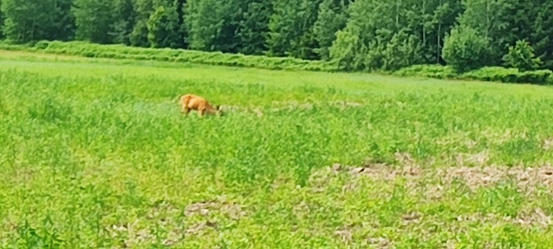 Vindskyddet i Filsbäck