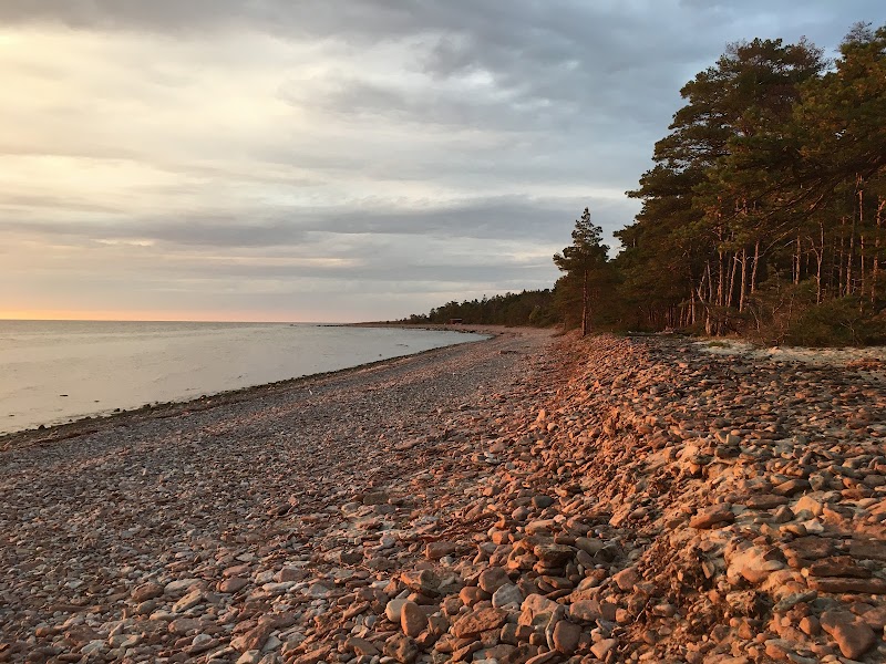 Byrums sandfält