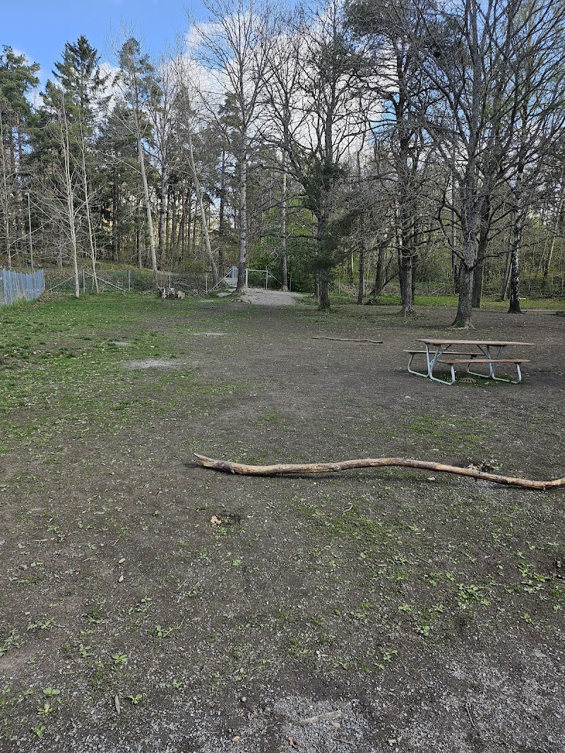 Dog Park