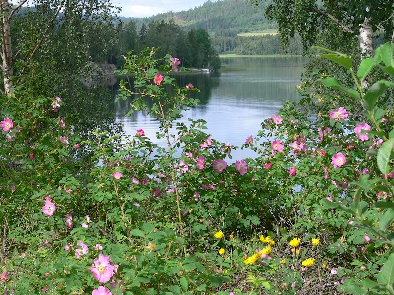 nordingranaturreservat