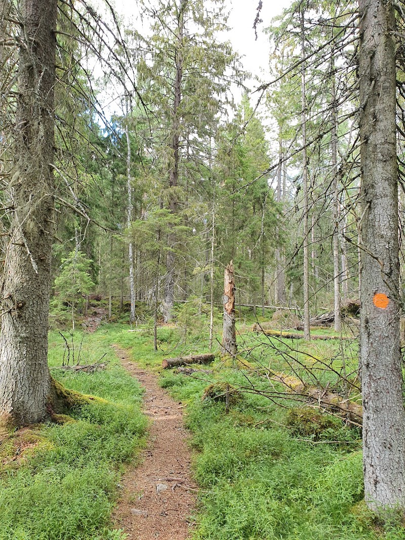 Gullunge naturreservat