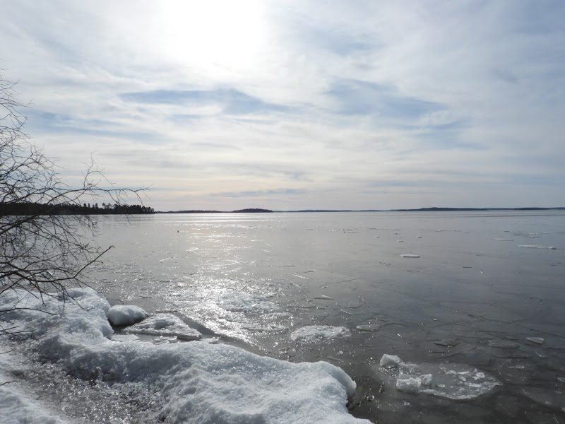 Adelsö-Sättra naturreservat