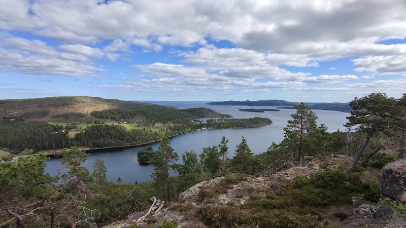 Högklintens naturreservat
