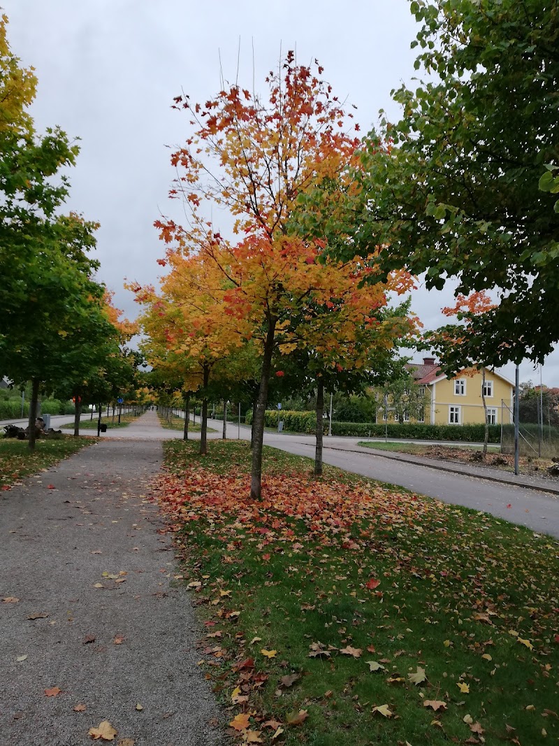 Allé södra esplanaden