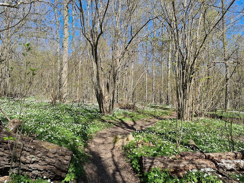 Fiskebäck Nature Reserve