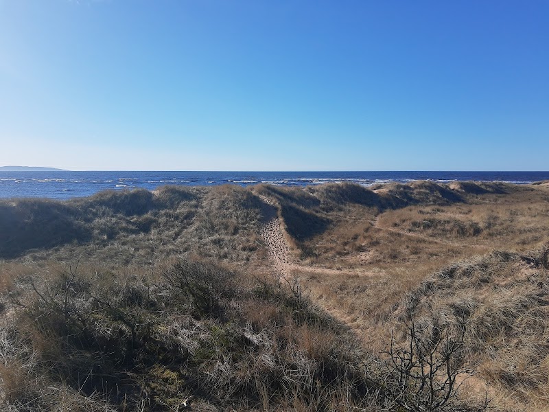 Gullbranna Naturreservat