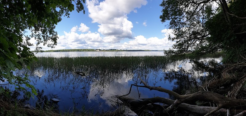 Klintaskogen
