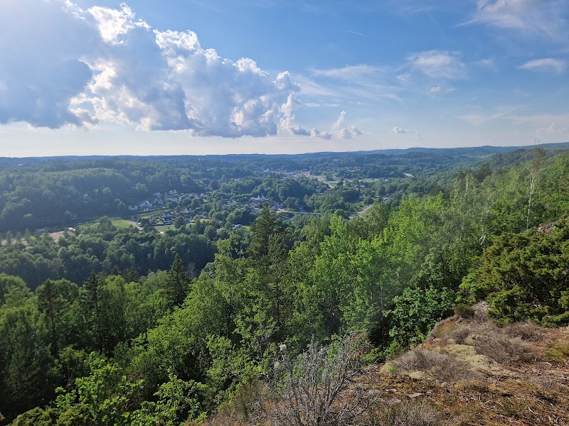 Kviström naturreservat