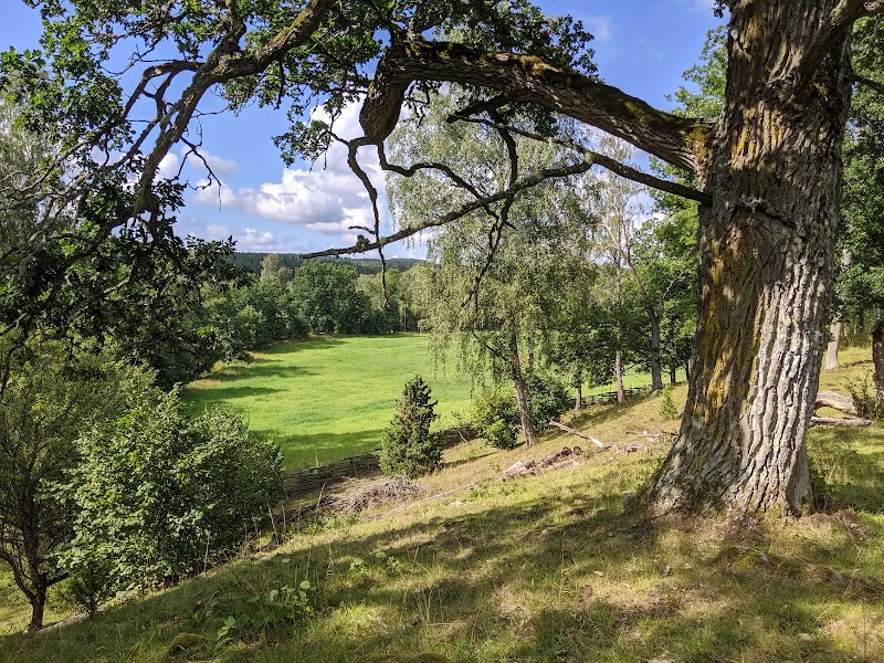 Lundens naturreservat