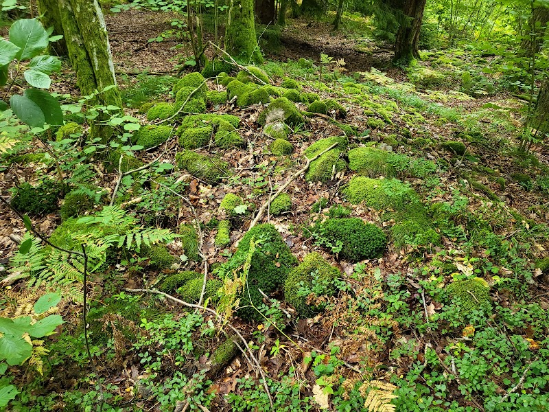 Gravrösen Gallhålan