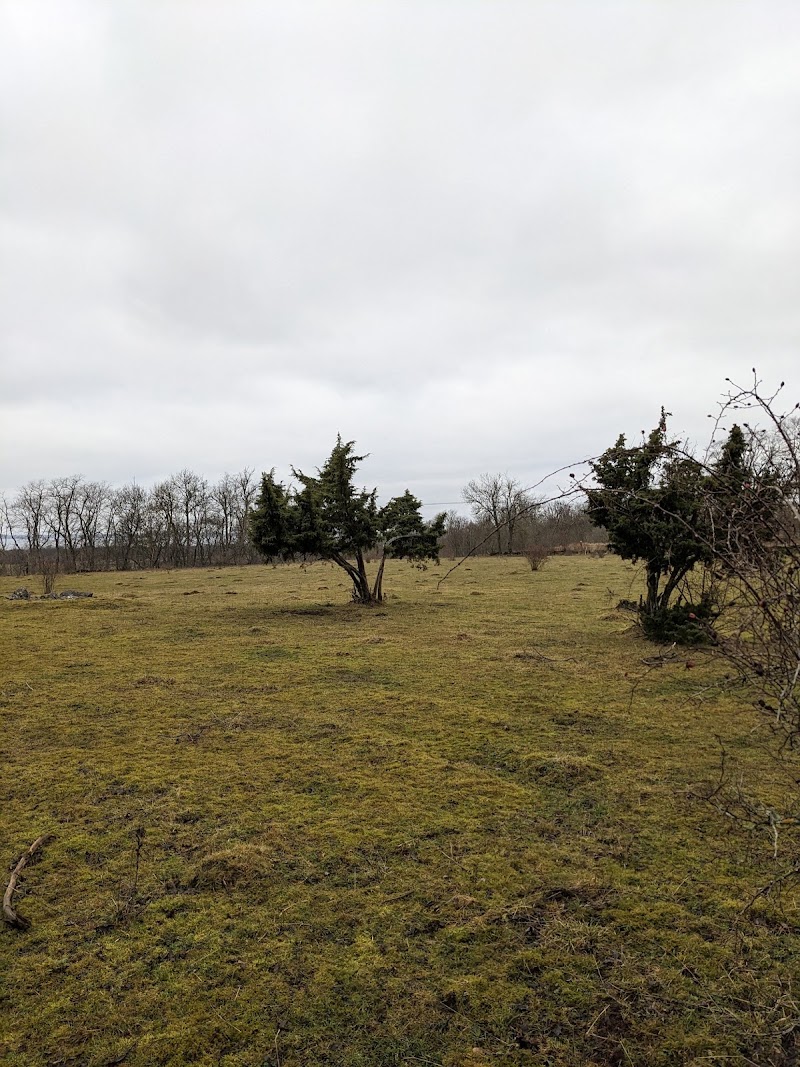 Blombergs naturreservat