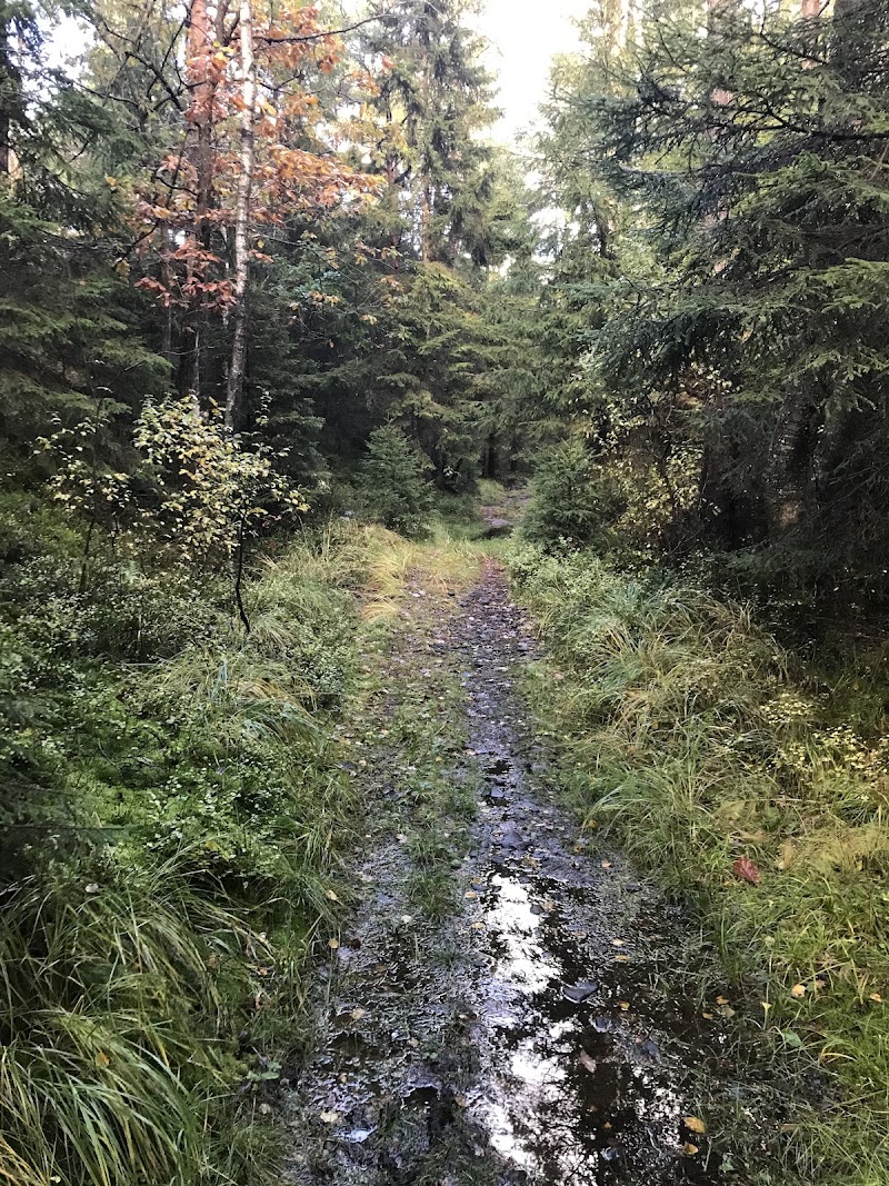 Björnareåsen