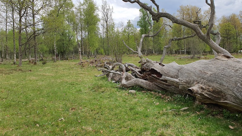 Naturreservat Sjösås Äng