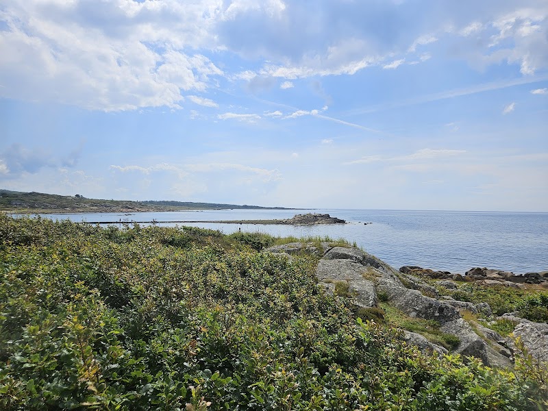 Steningekusten