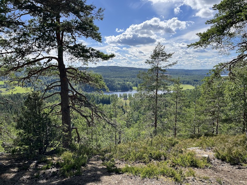 Erikaberget