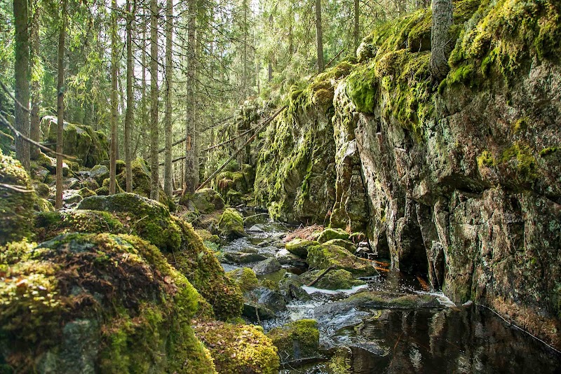 Stuverydsbäckens naturreservat