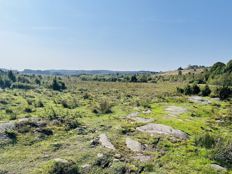 Sandsjöbacka Naturreservat