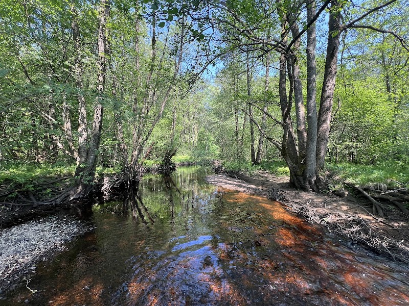 Finnsboskogen Naturreservat