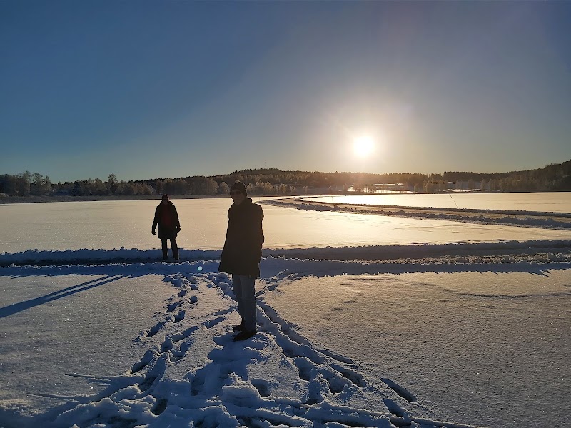 Henemoren, Hedemora