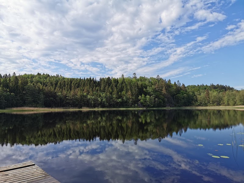Gallhålan