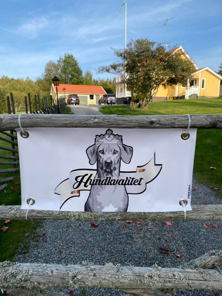 Hundkvalitet