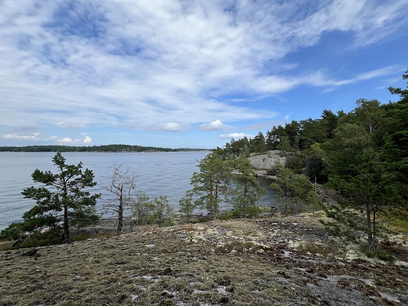 Djupvikens naturreservat